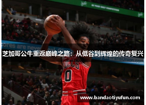 芝加哥公牛重返巅峰之路：从低谷到辉煌的传奇复兴